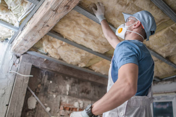 Best DIY Insulation Kits and Guidance in Dock Junction, GA