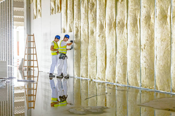 Best Eco-Friendly Insulation in Dock Junction, GA